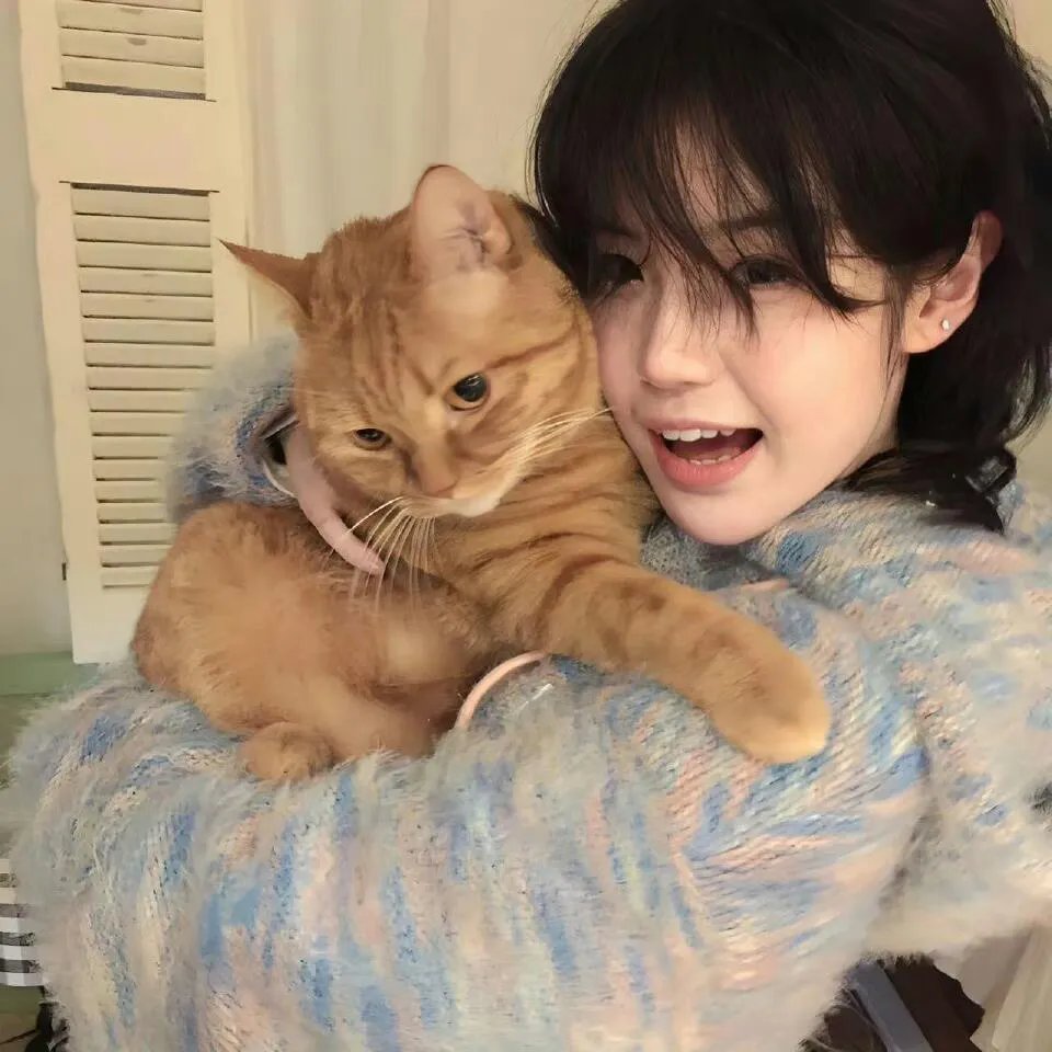 猛鬼街6国语 在线观看