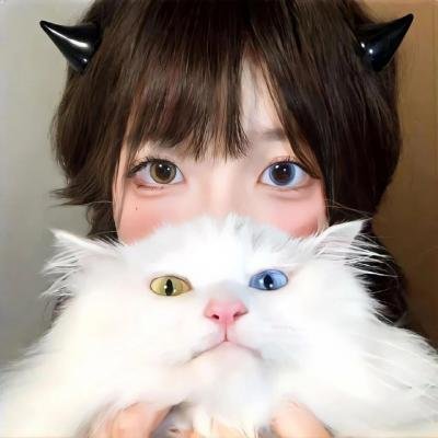 一个陌生人的电话 在线观看